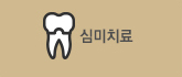 심미치료